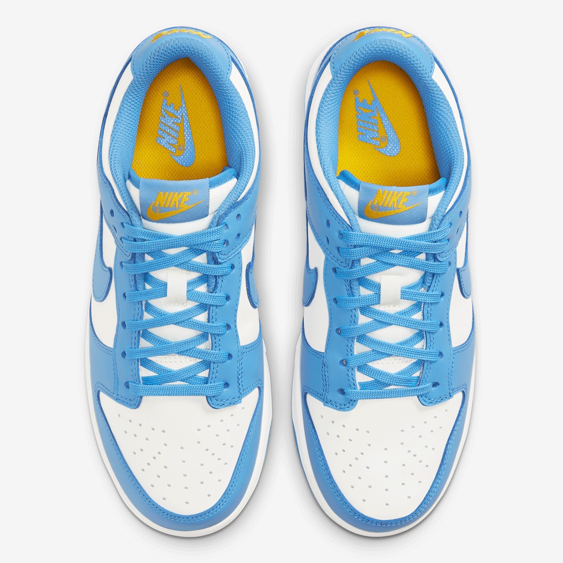 Nike Dunk Low Coast Dd1503 100 08