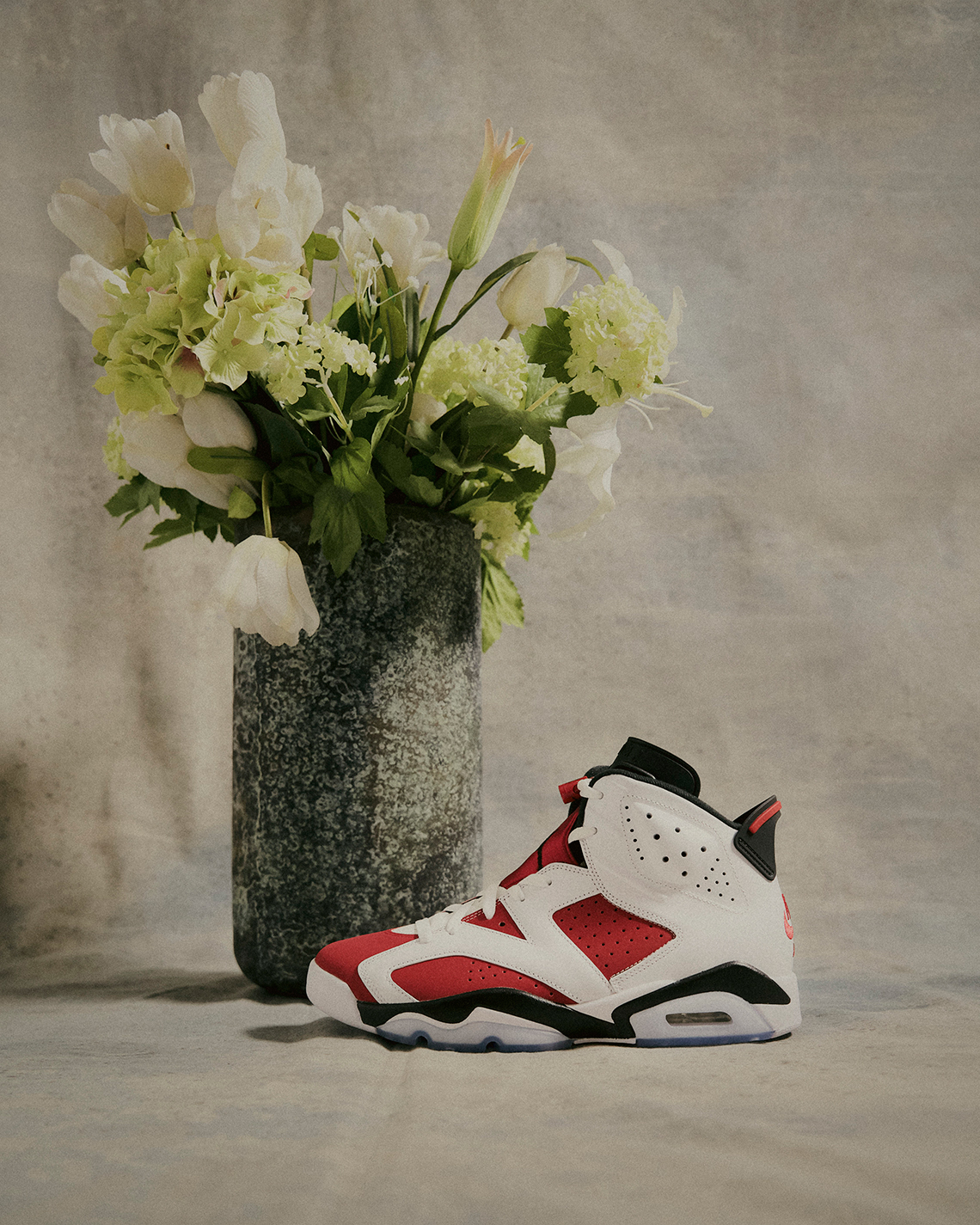 Jordan 6 Carmine 4