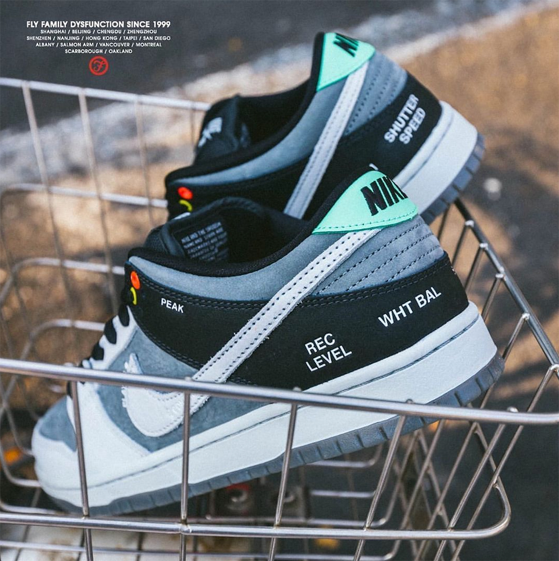 Nike Sb Dunk Fly Skateshop Vx1000 Camcorder 2