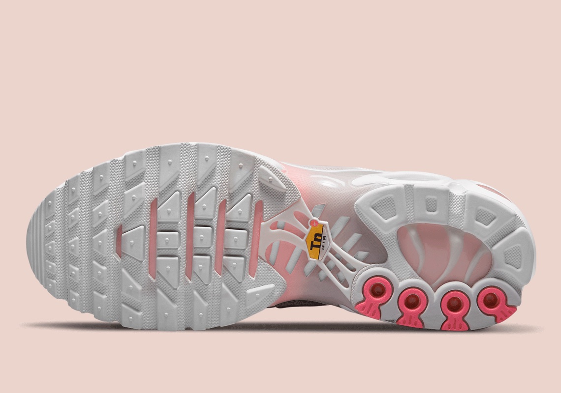 Nike Air Max Plus Dm3037 100 04
