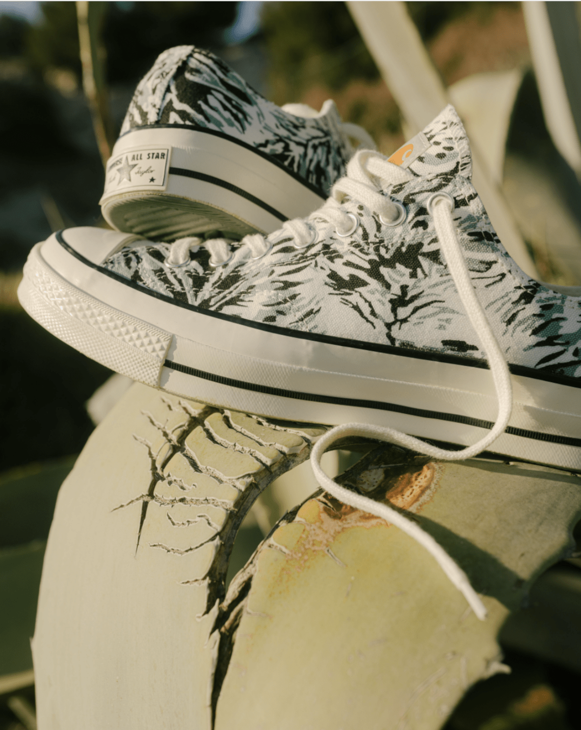 Carhartt Wip Converse Chuck 70 Low Hinterland 02