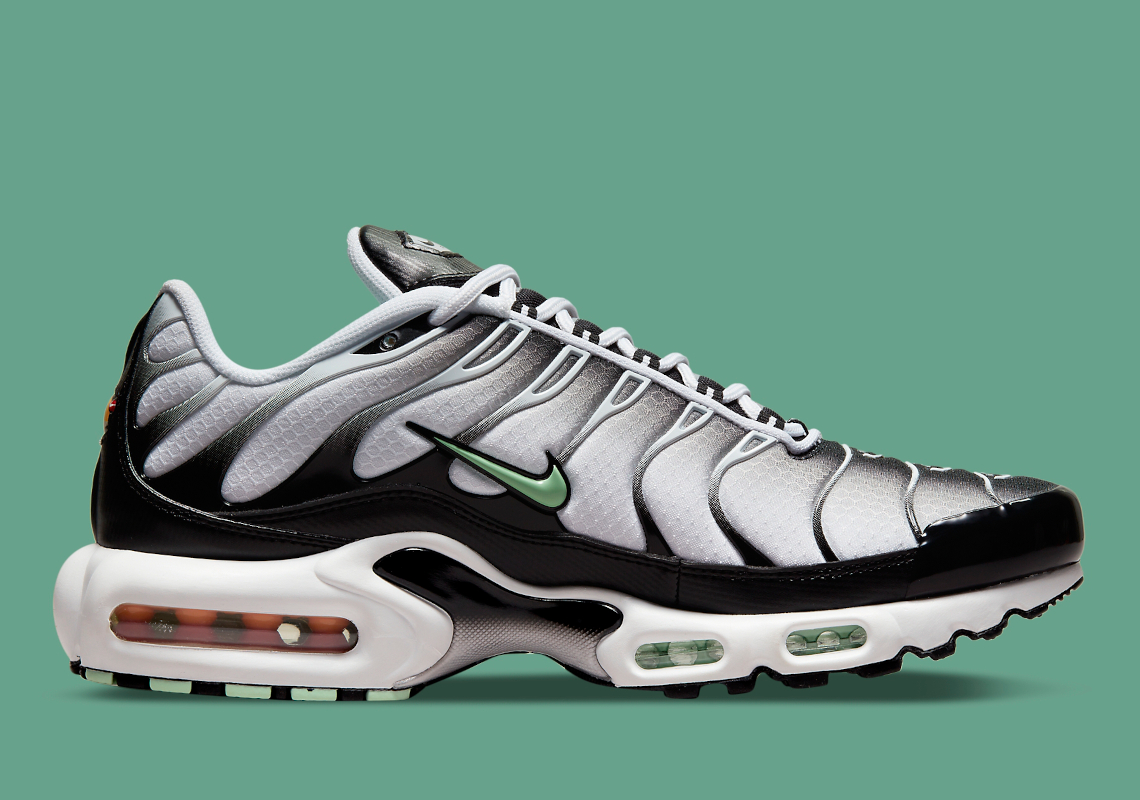 Nike Air Max Plus Dh4776 100 4
