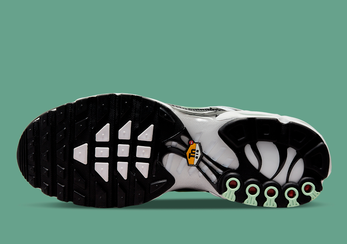 Nike Air Max Plus Dh4776 100 6