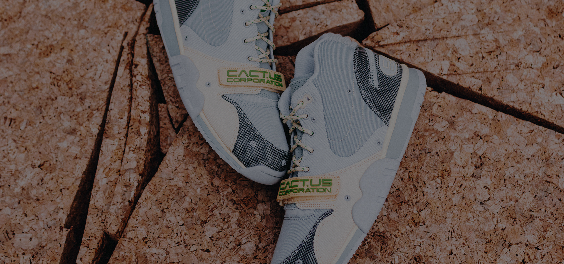 Ebay July 2022 Travis Trainer Banner