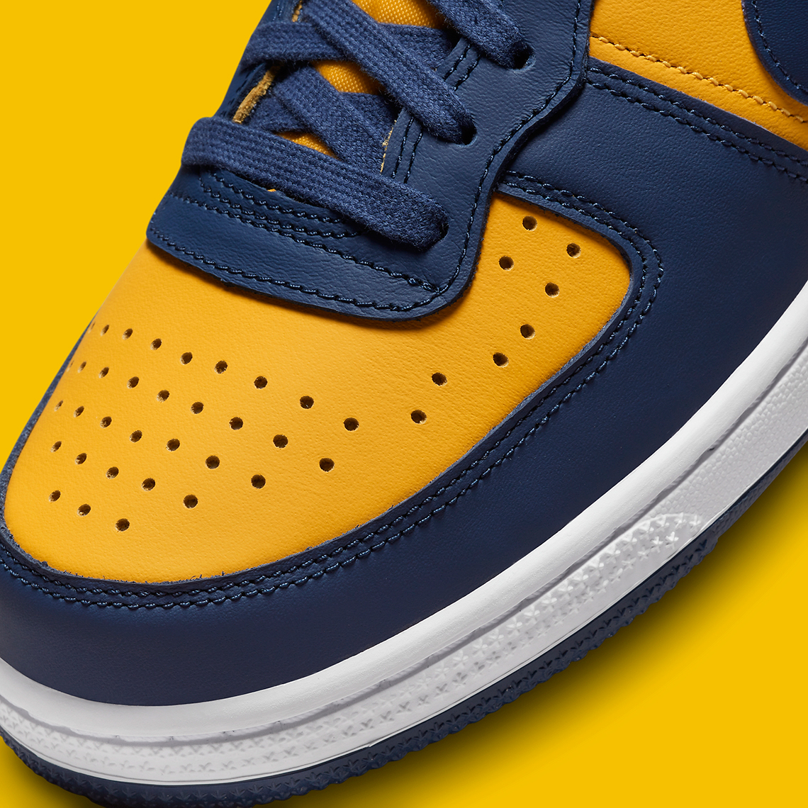 Nike Terminator Low Michigan Fj4206 700 4