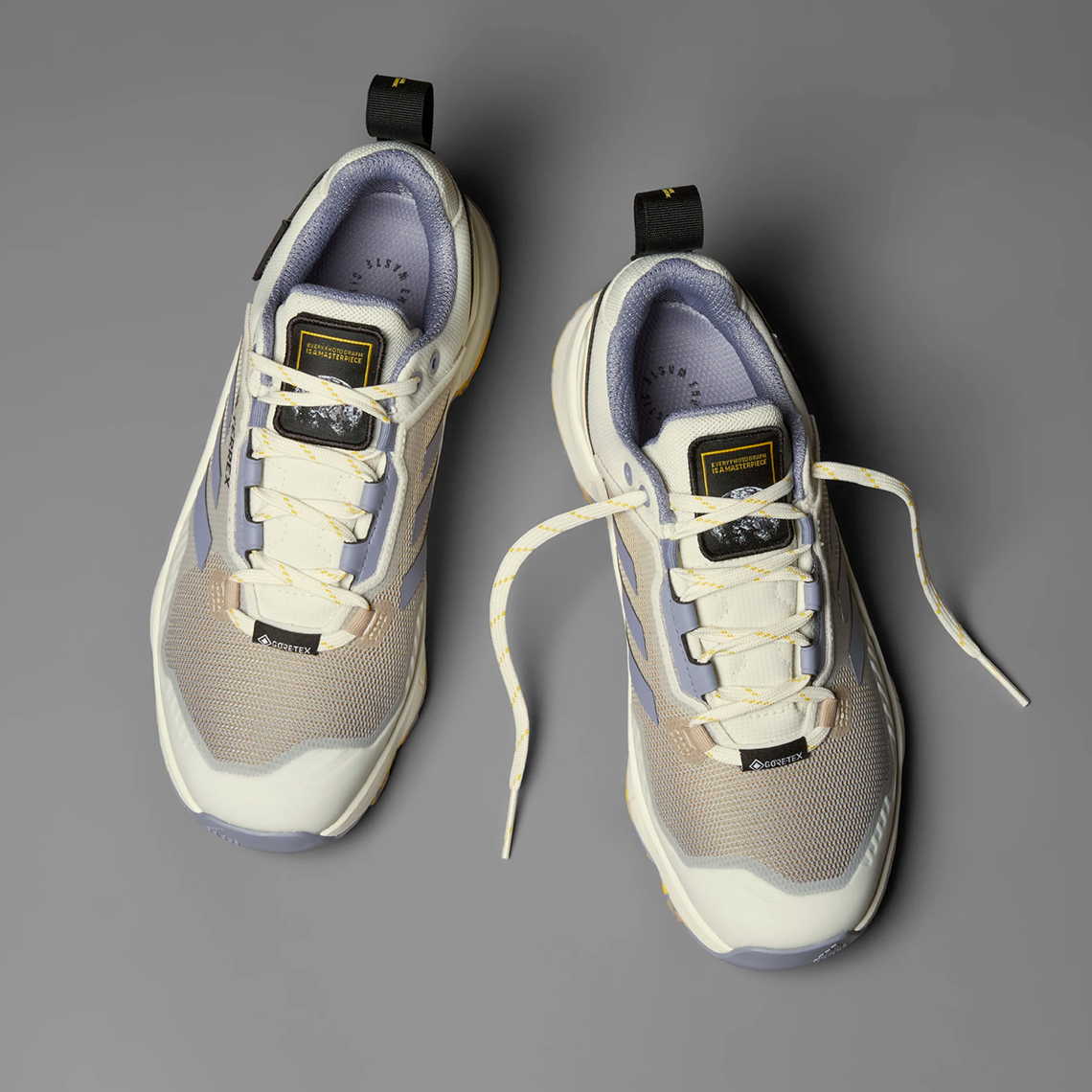 National Geographic Adidas Terrex Swift R3 Gore Tex Womens Hq8833 3