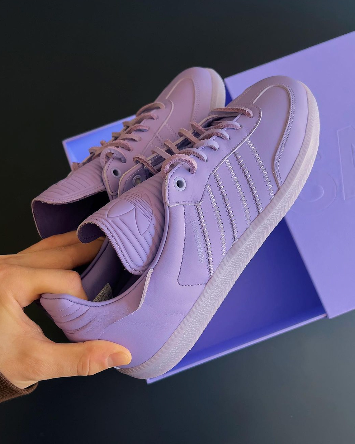 Pharrell Adidas Samba Purple Humanrace 3