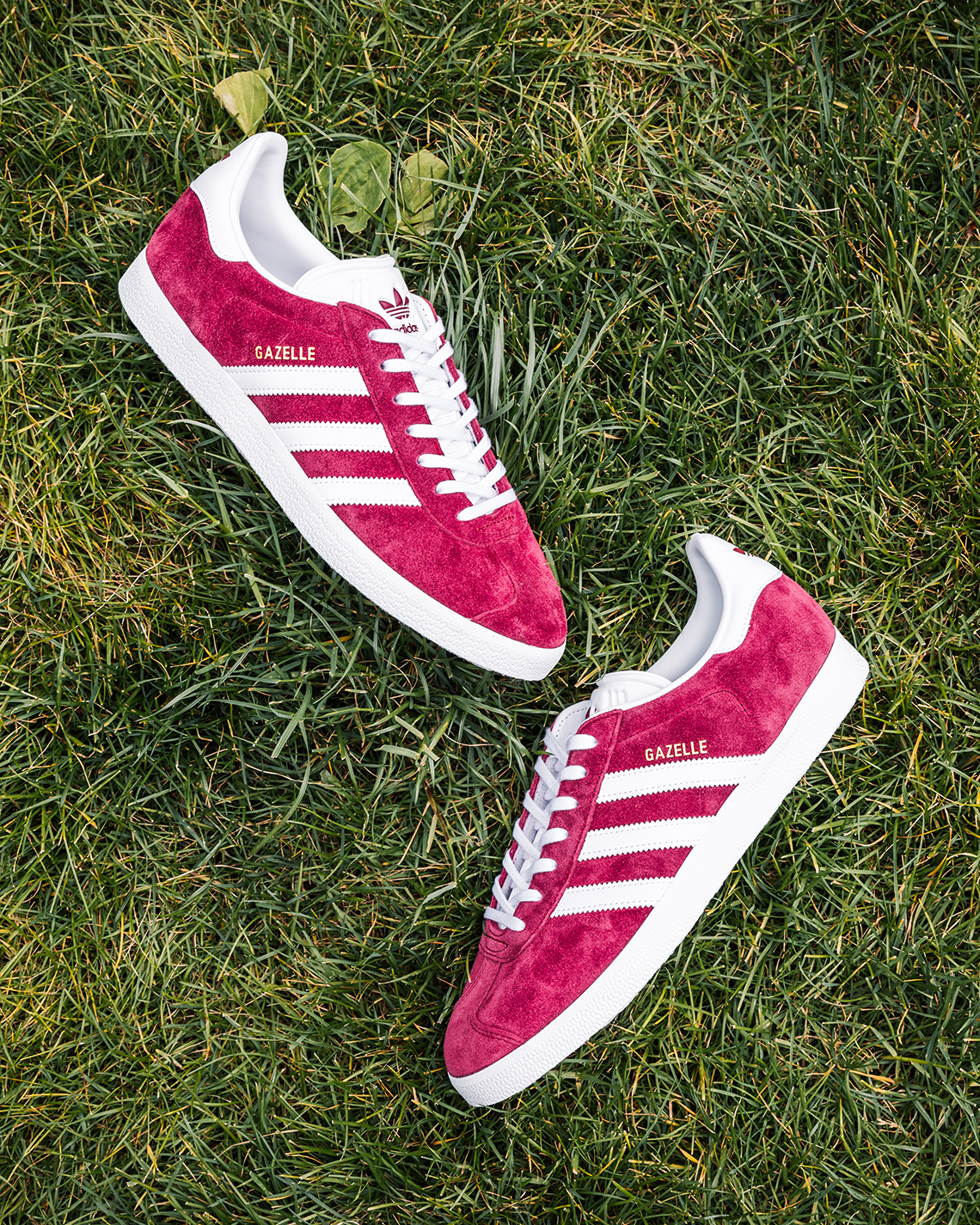 Adidas May 2023 Gazelle Gallery 1