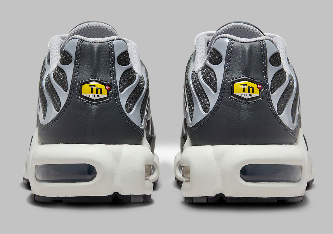 Nike Air Max Plus Cool Grey Dz2655 001 4