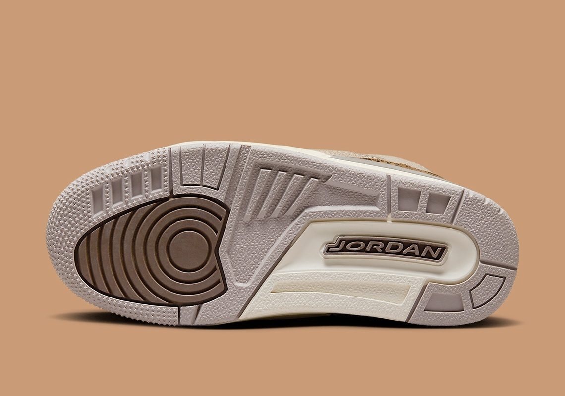 Air Jordan 3 Ps Palomino Dm0966 102 5