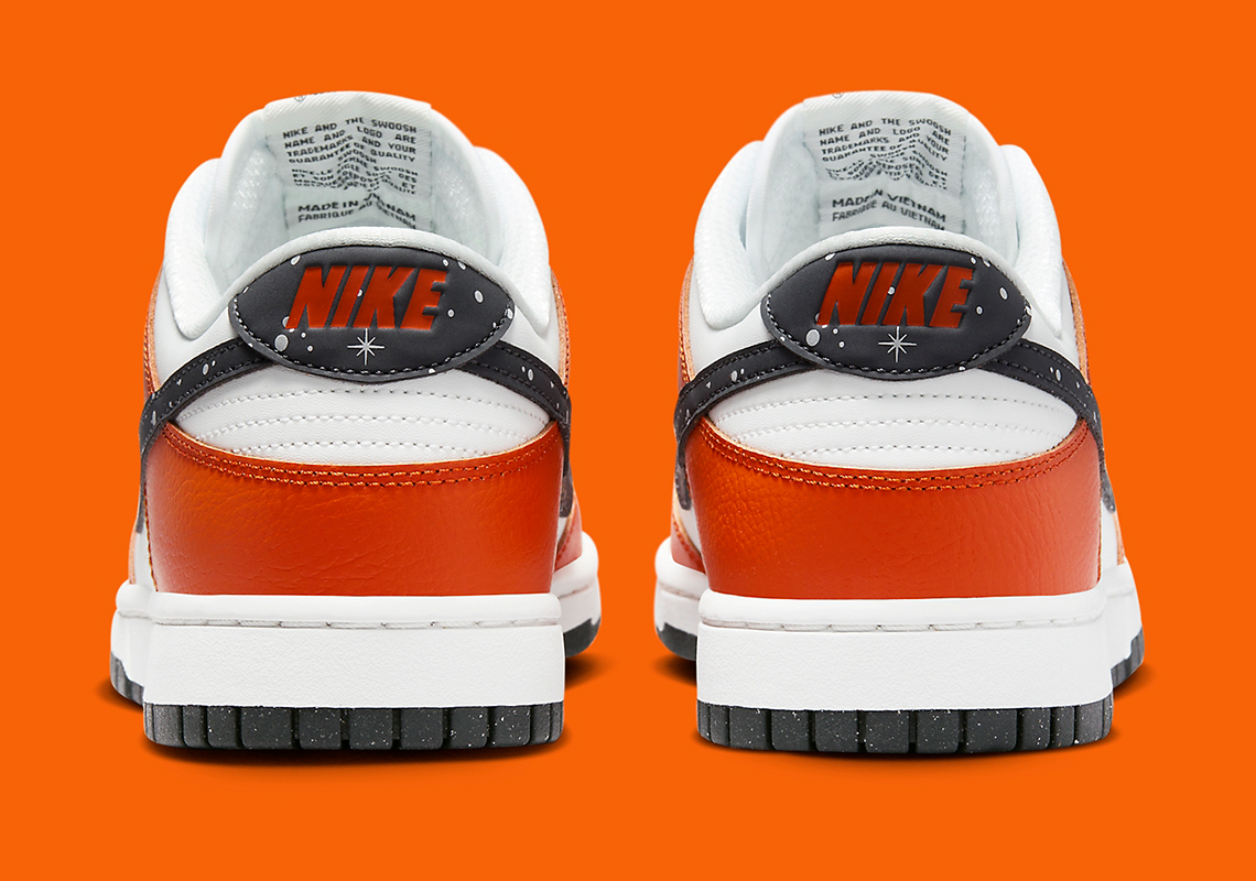 Nike Dunk Low Starry Swoosh Fv6909 800 5
