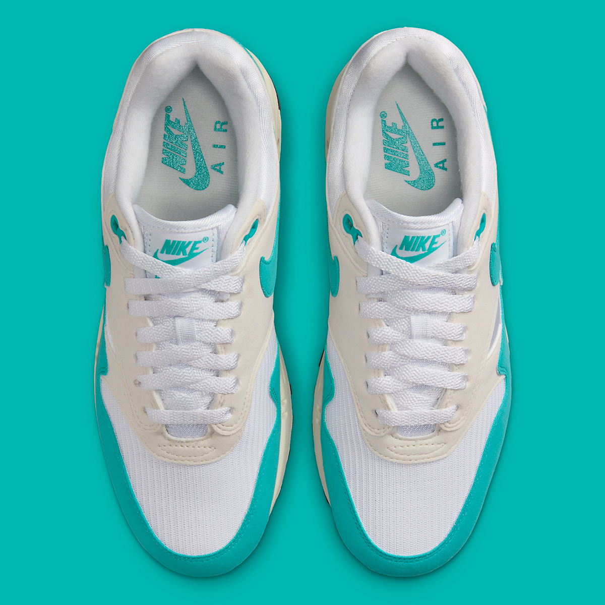 Nike Air Max 1 W Dusty Cactus Dz2628 107 6