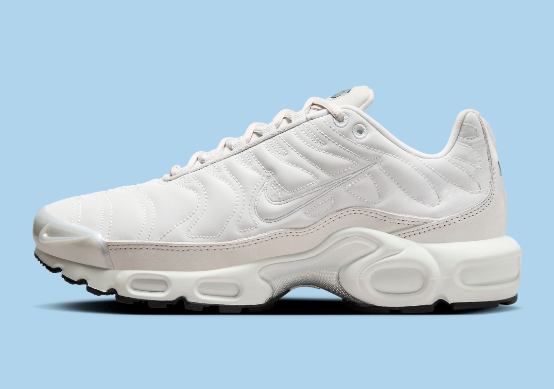 Nike Air Max Plus Reflective Fz4342 001 10
