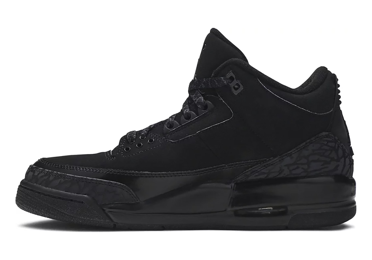 Air Jordan 3 Black Cat 2024 5