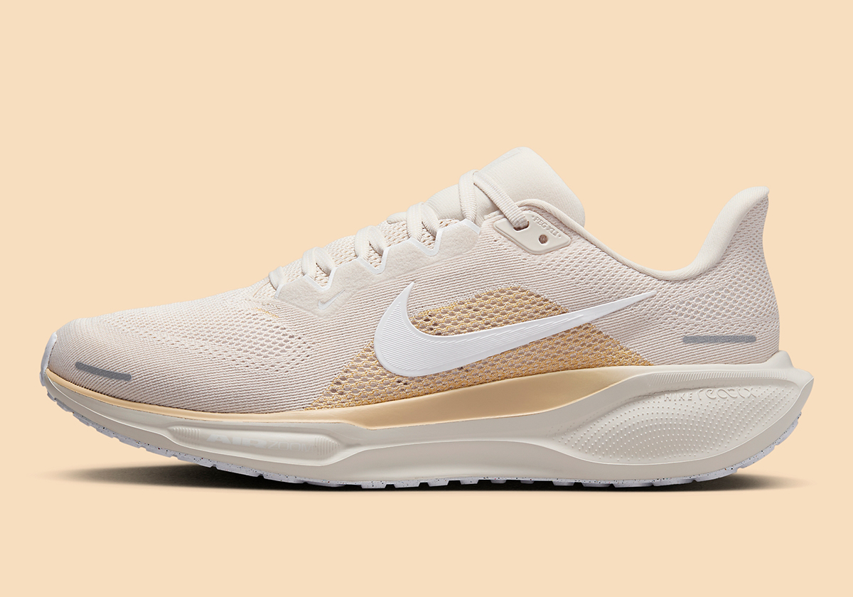 Nike Pegasus 41 Fd2722 106