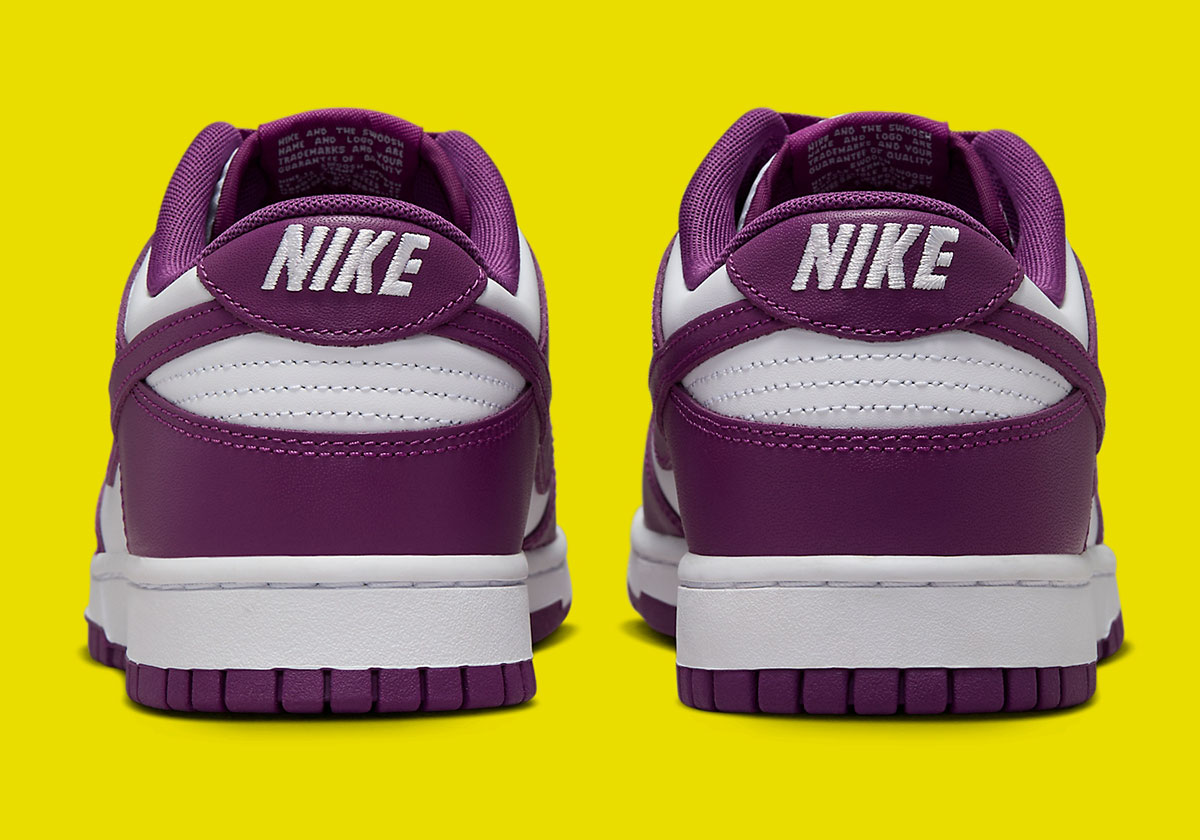 Nike Dunk Low Viotech White Dv0833 107 3