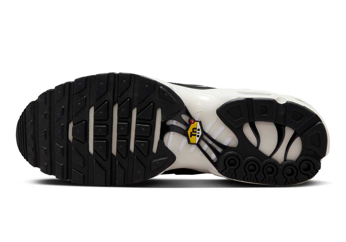 Nike Air Max Plus Panda Fv6264 001 2