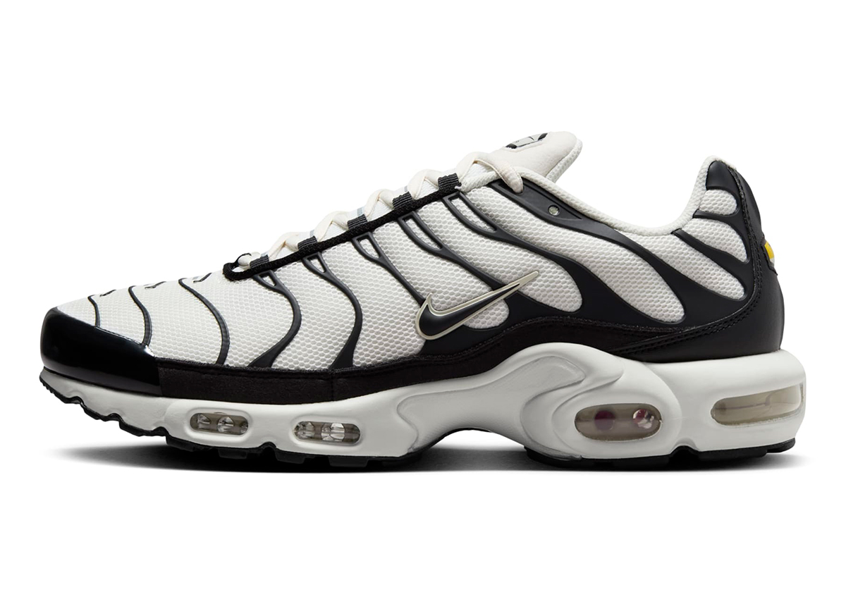 Nike Air Max Plus Panda Fv6264 001 8