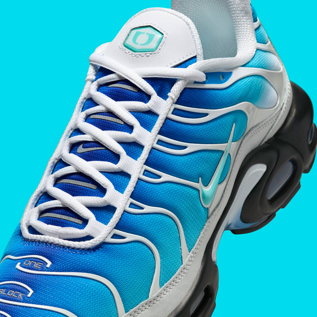 One Block Down Nike Air Max Plus Fz3308 400 2