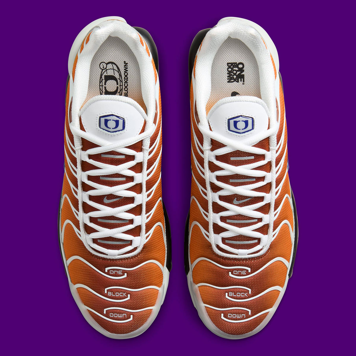 One Block Down Nike Air Max Plus Fz3308 700 4