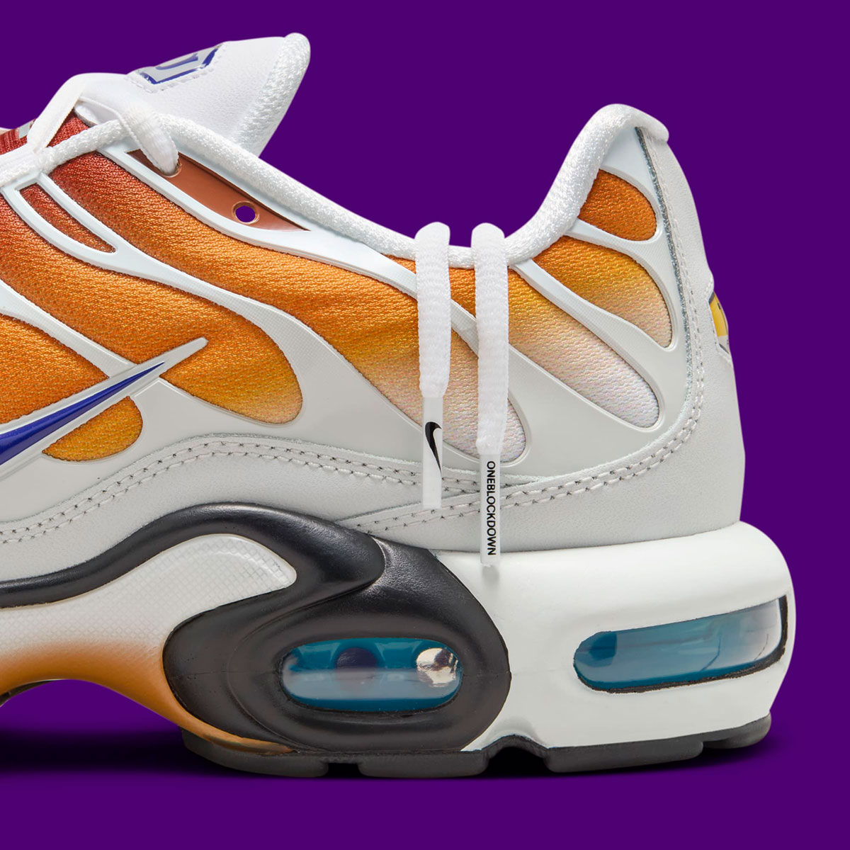 One Block Down Nike Air Max Plus Fz3308 700 6