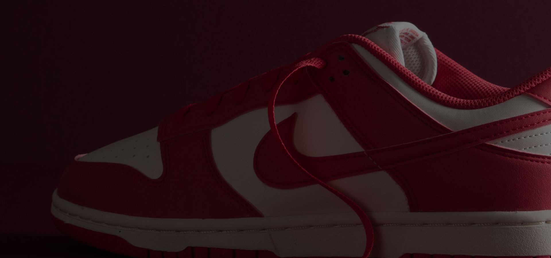 Dsg Shopping Guide Nike Dunk Banner