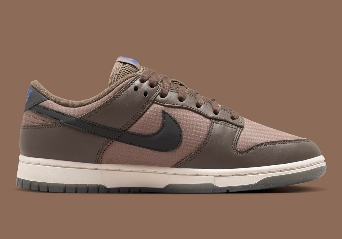 Nike Dunk Low Ironstone Anthracite Mink Brown Fz2552 001 6