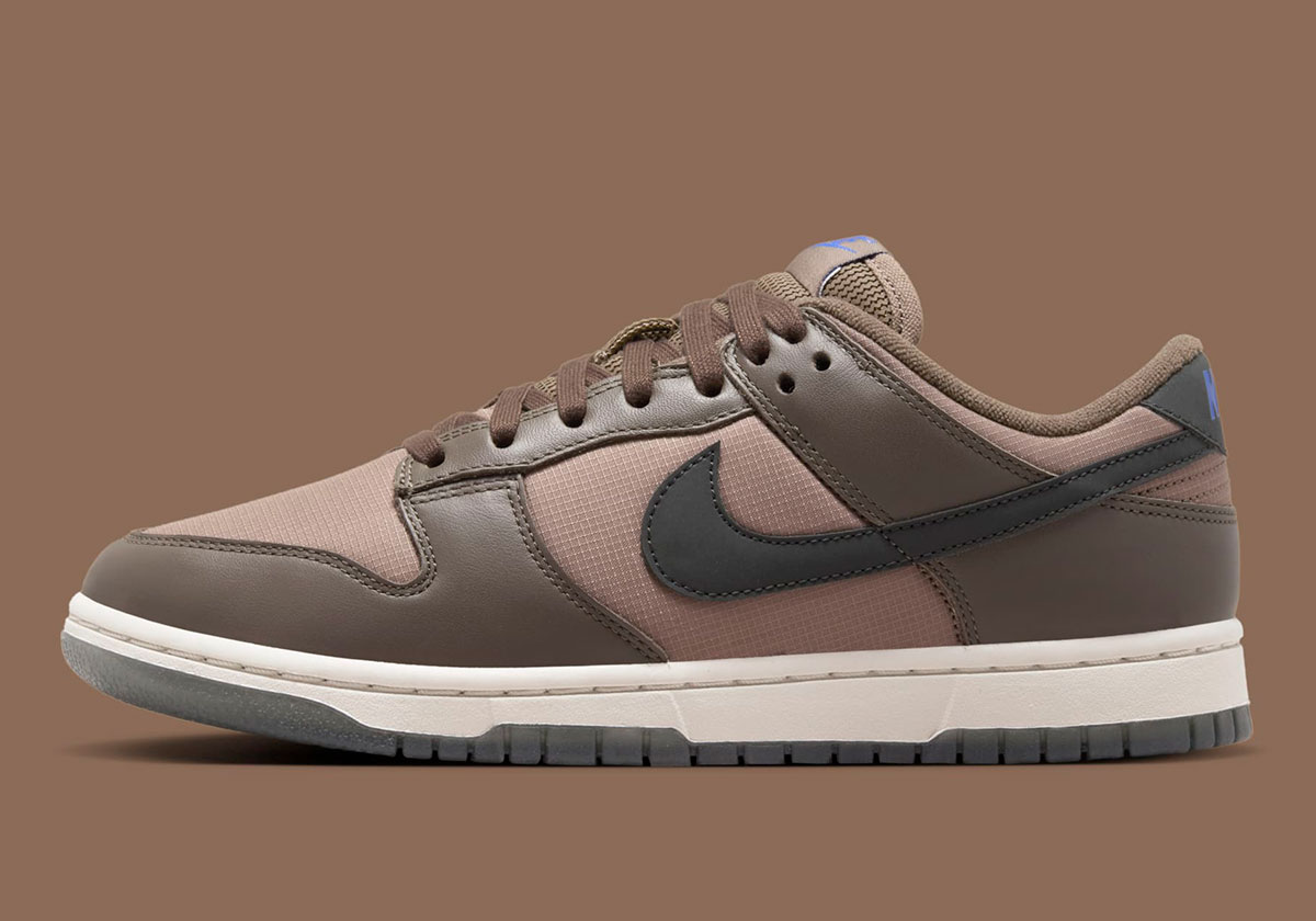 Nike Dunk Low Ironstone Anthracite Mink Brown Fz2552 001 8