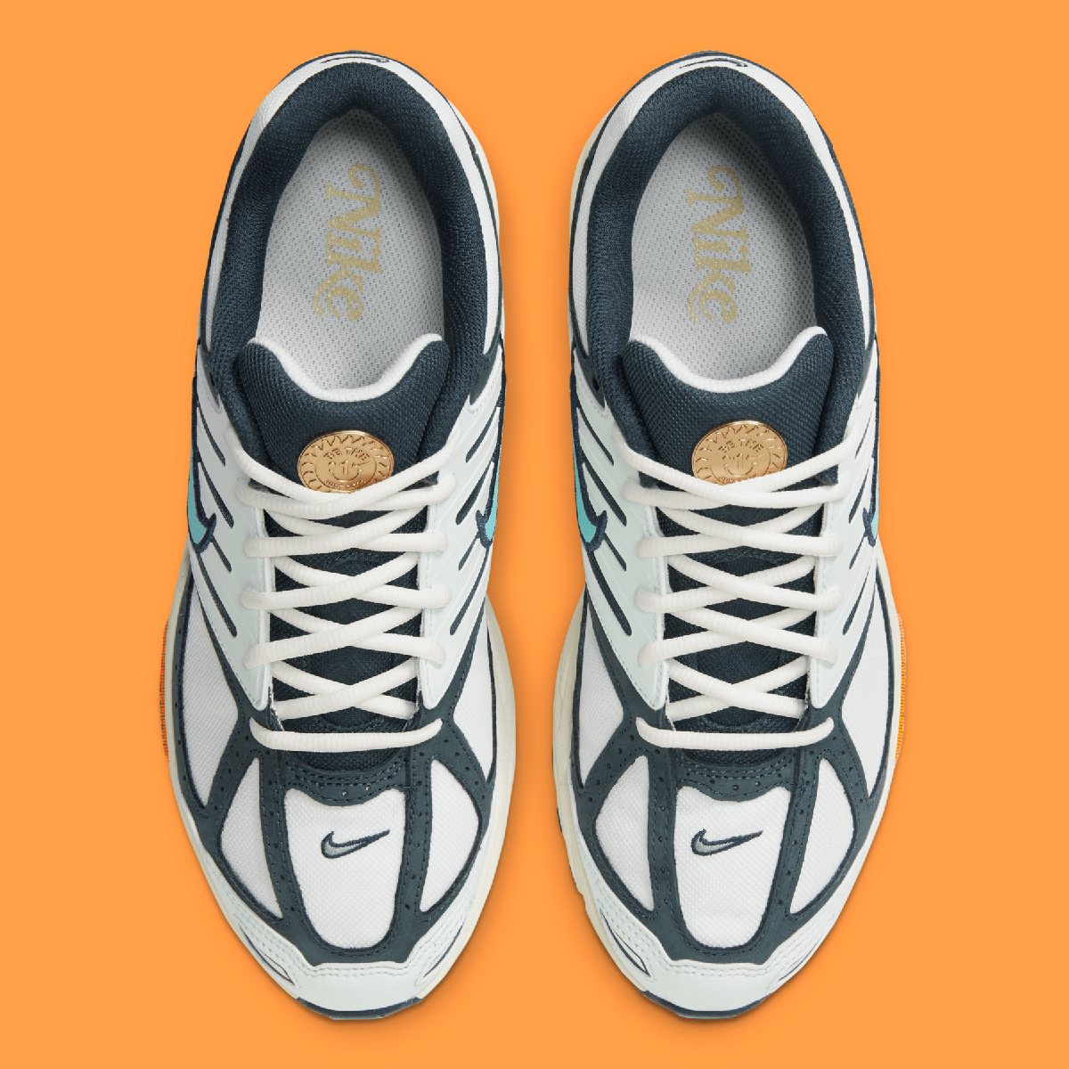Nike Pegasus 2k5 Be The One Hm3727 131 4