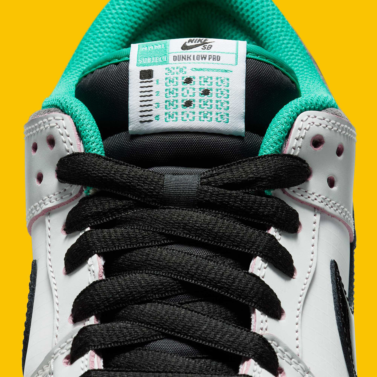 Csef Nike Sb Dunk Low Hj4132 100 3