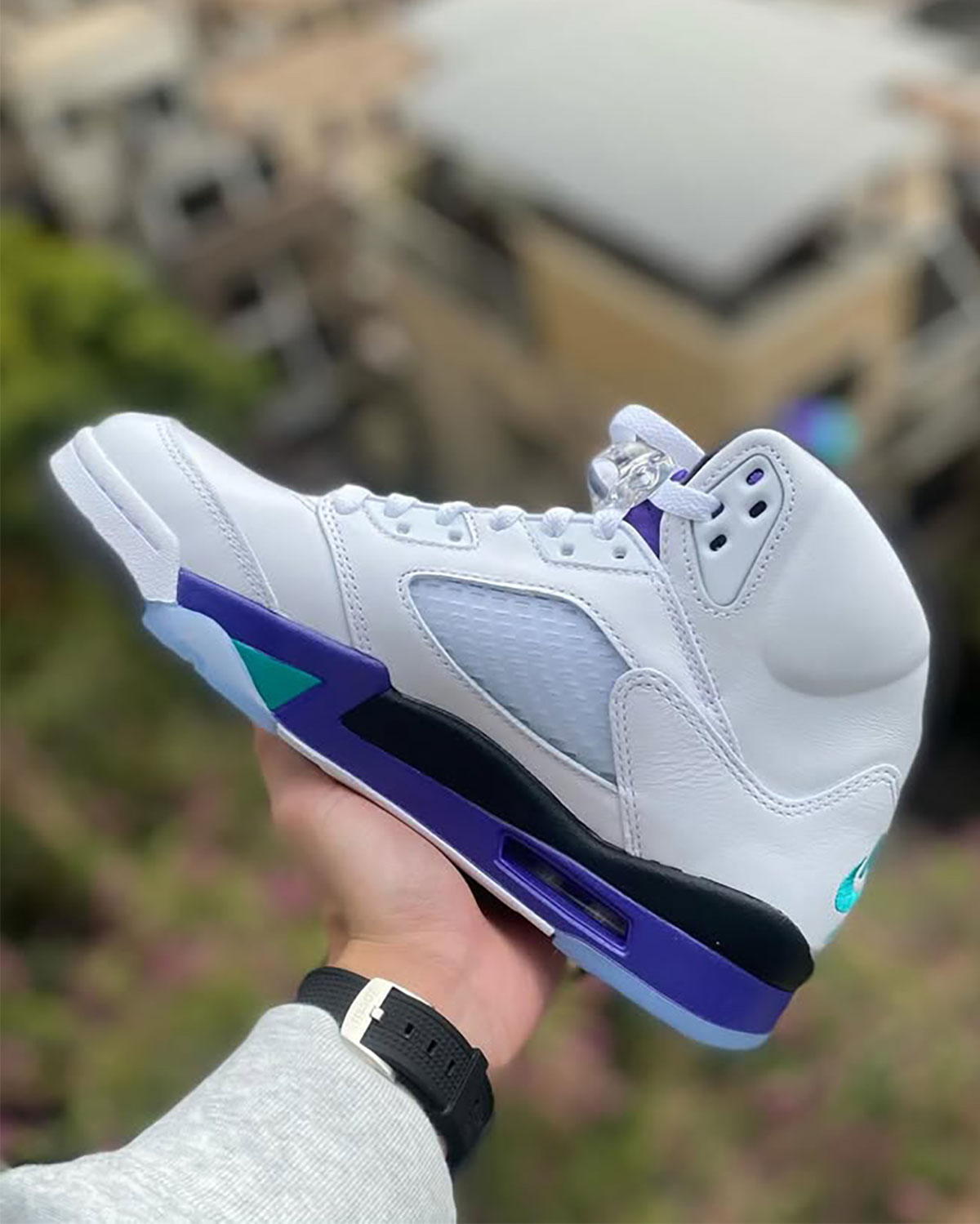 Grape Jordan 5s 2