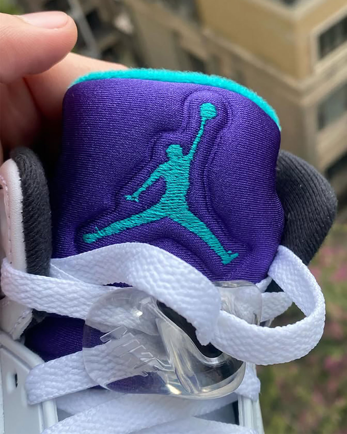 Grape Jordan 5s 5