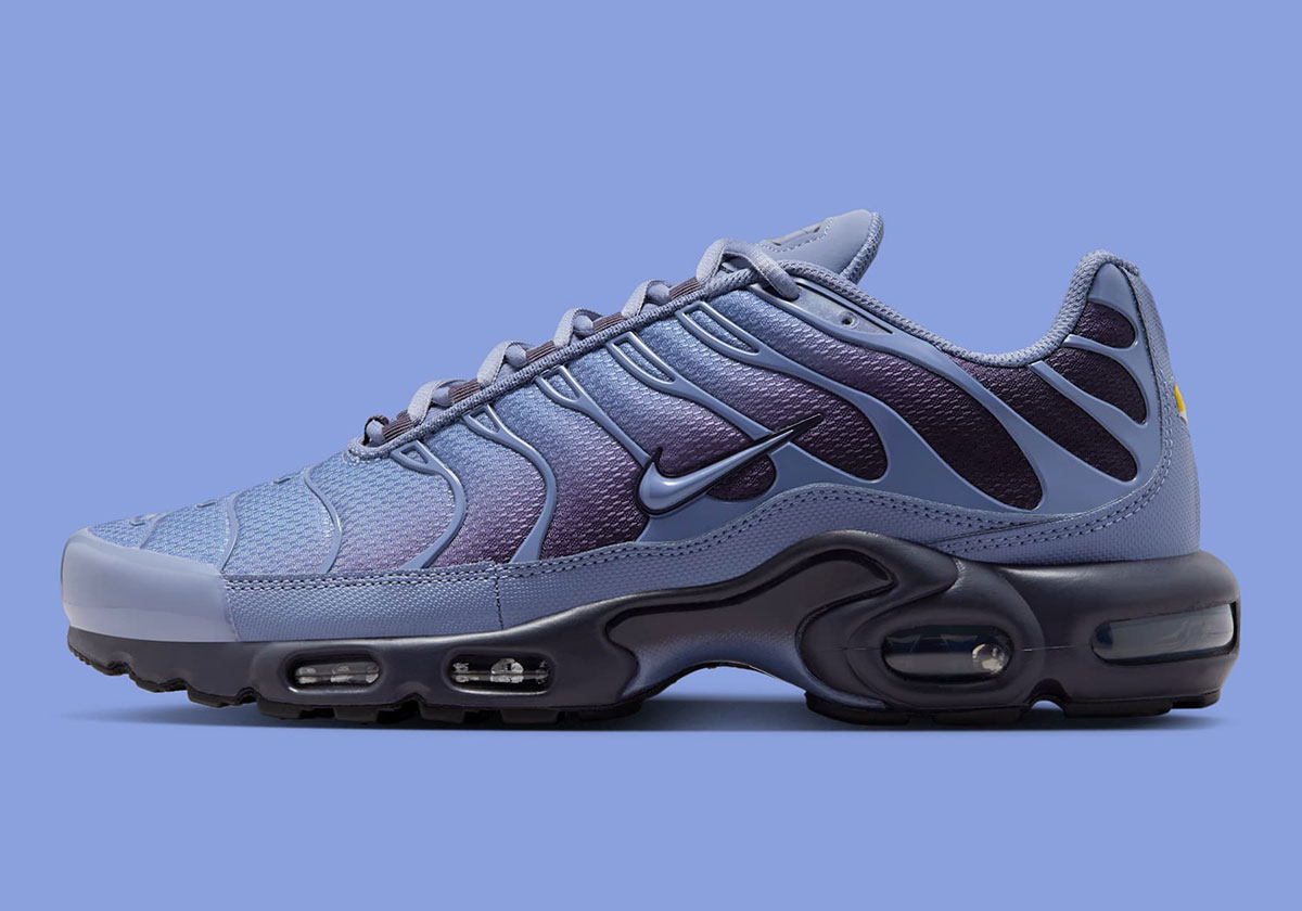 Nike Air Max Plus World Indigo Cave Purple Black Dm0032 404 8