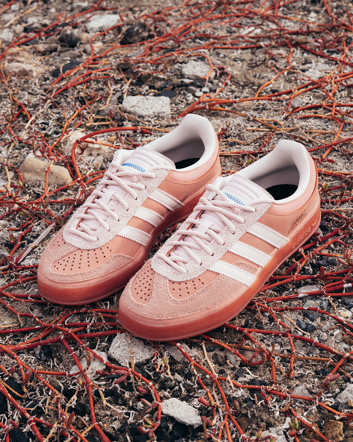 Bad Bunny Adidas Gazelle Cabo Rojo Release Date 3