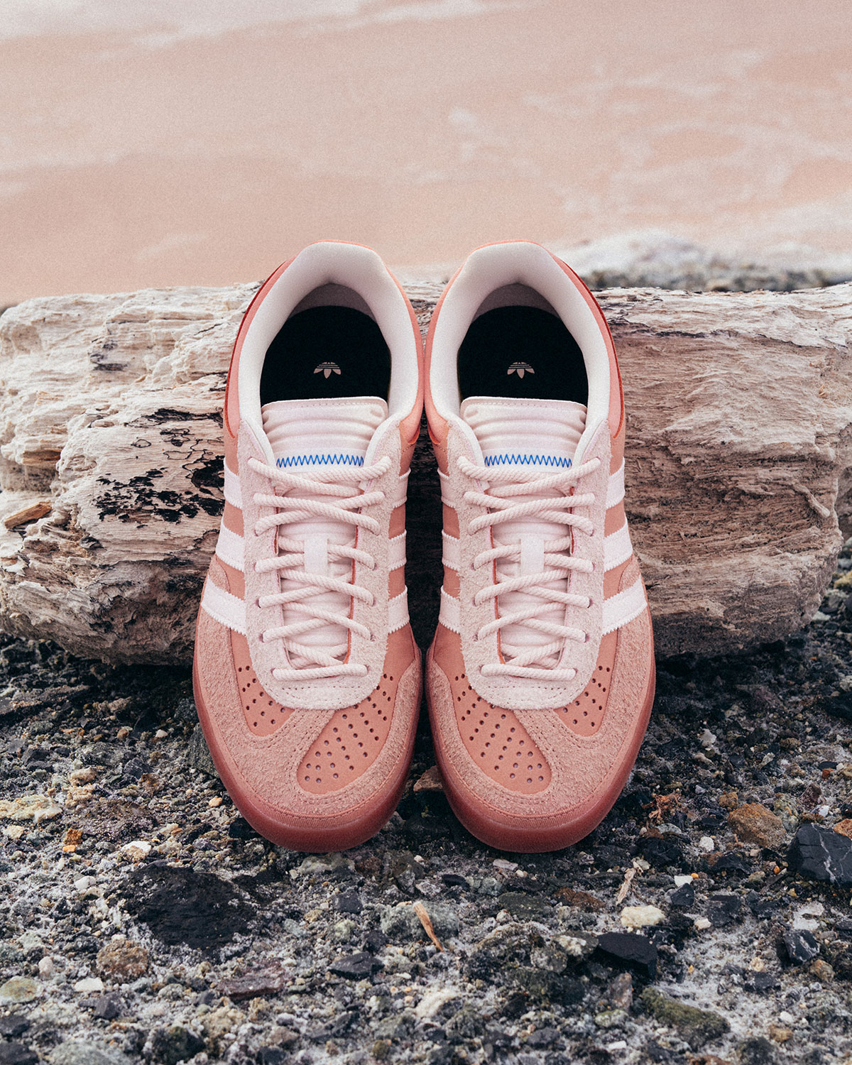 Bad Bunny Adidas Gazelle Cabo Rojo Release Date 6