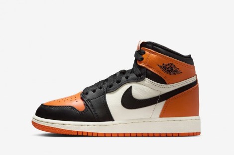 Air Jordan 1 Retro High OG "Shattered Backboard"