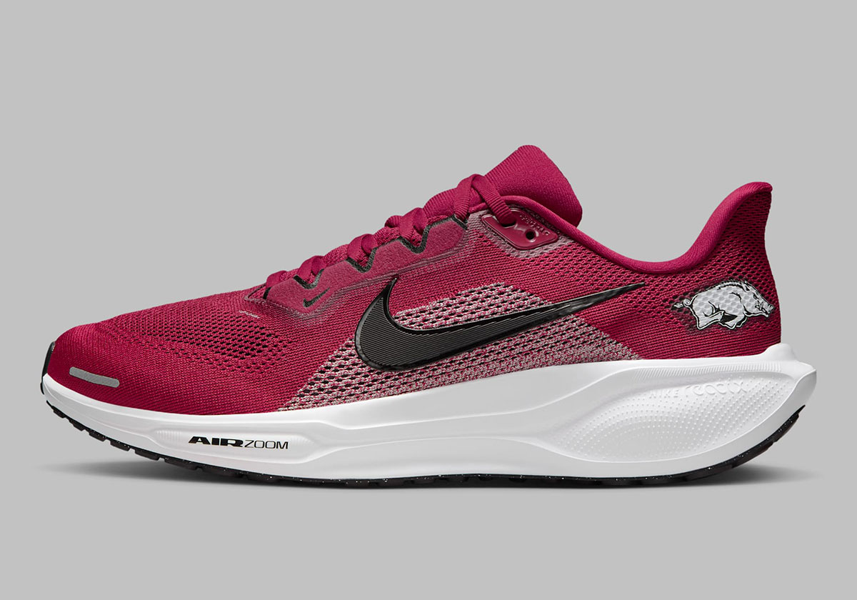 Nike Pegasus 41 Arkansas Razorbacks Ib3246 600 2