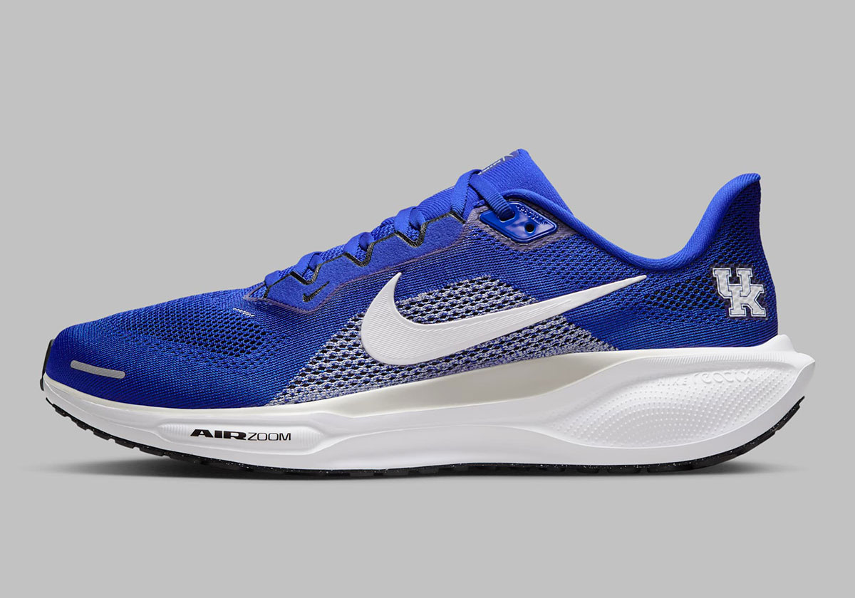 Nike Pegasus 41 Kentucky Wildcats Ib3266 400 2