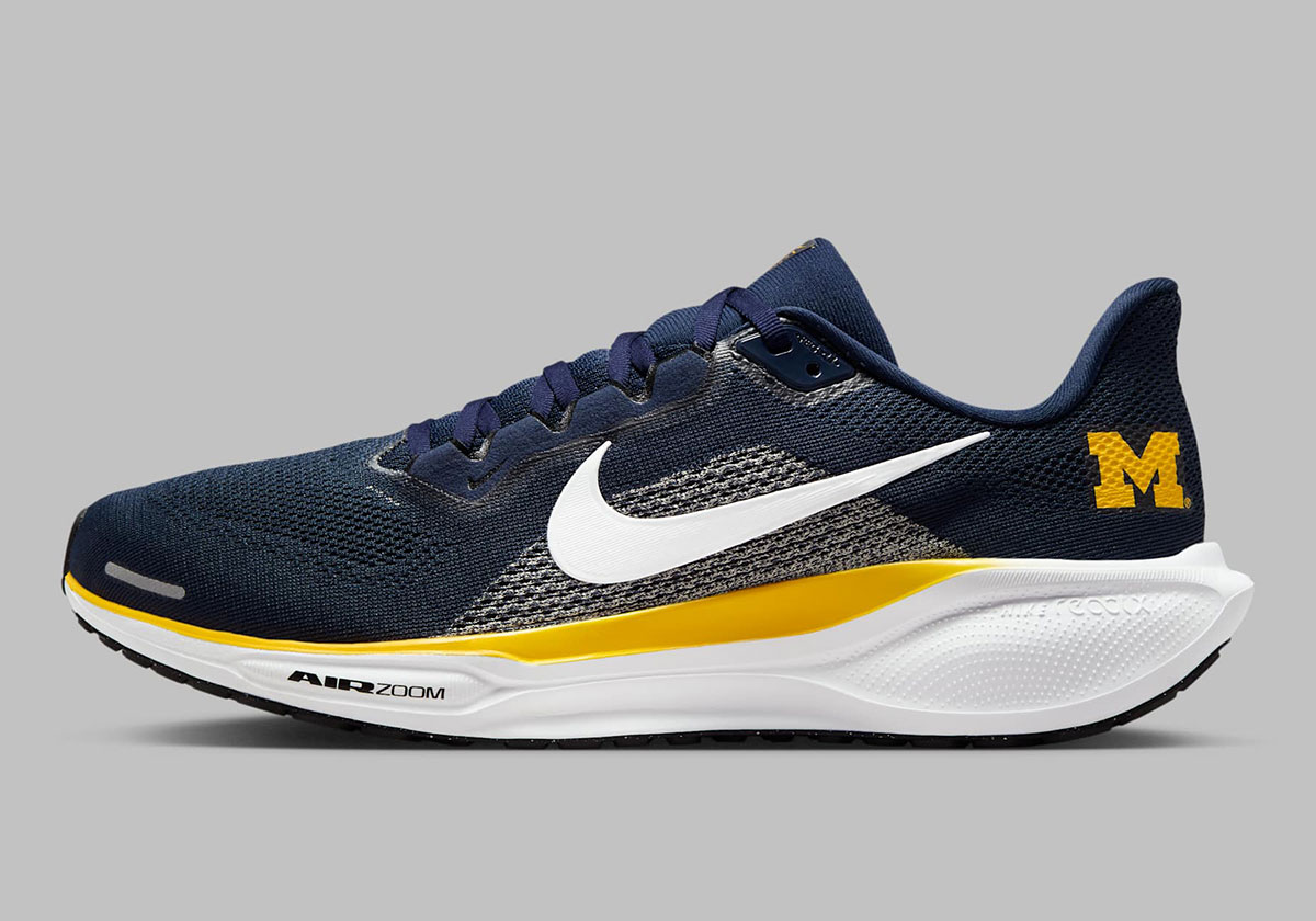 Nike Pegasus 41 Michigan Wolverines Ib3269 400 2