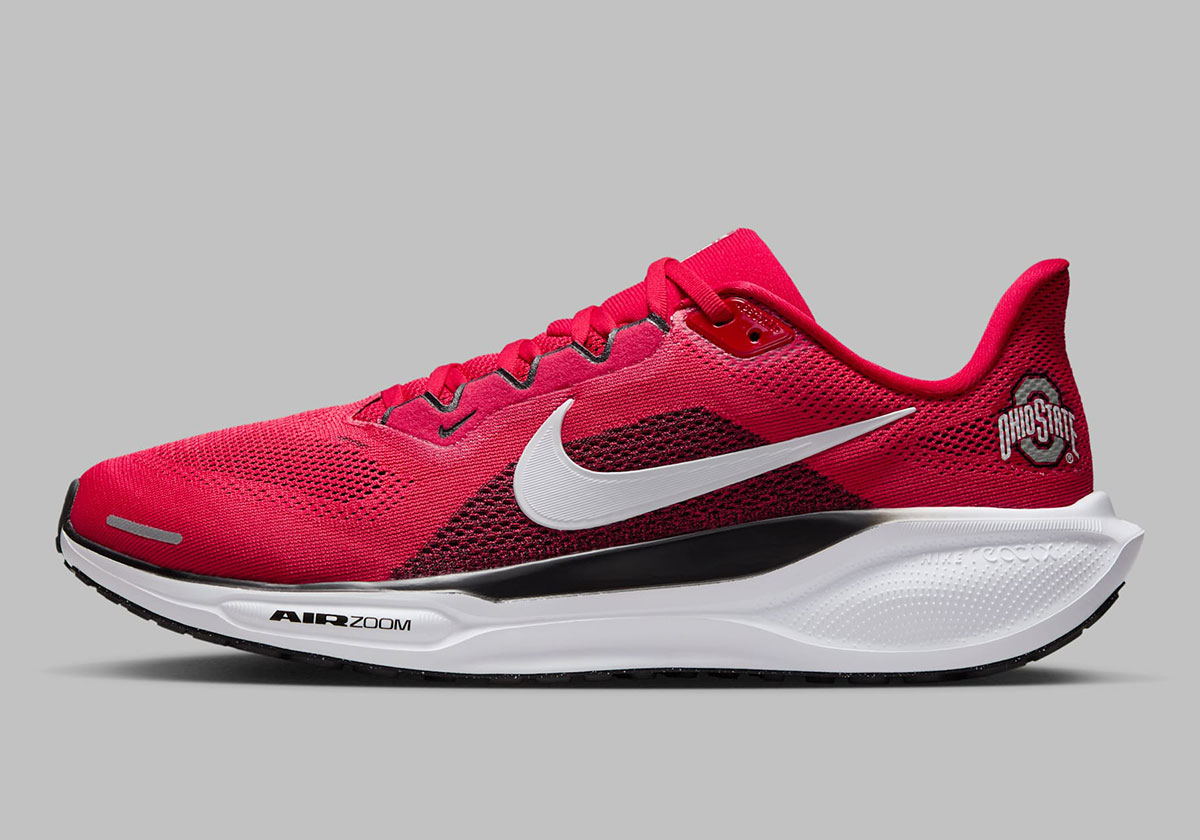 Nike Pegasus 41 Ohio State Buckeyes Ib3254 600 2