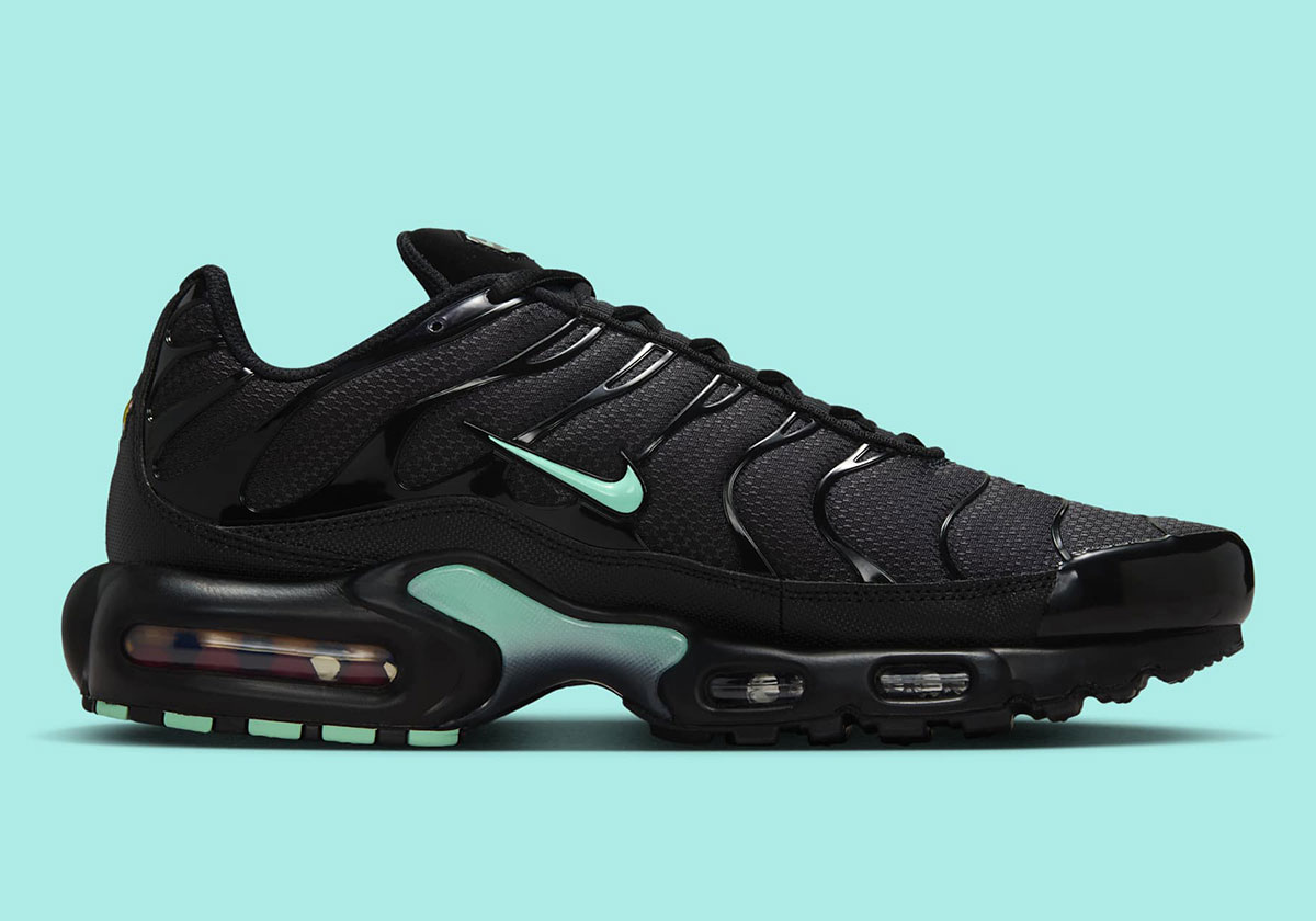 Nike Air Max Plus Black Mint Dm0032 029 6