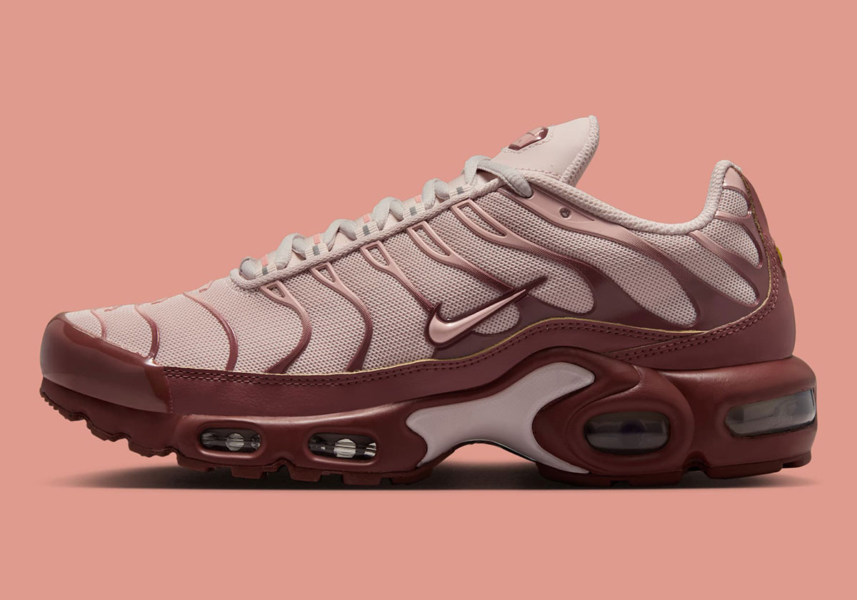Nike Air Max Plus Red Sepia Red Stardust Silt Red Dz3671 201 6