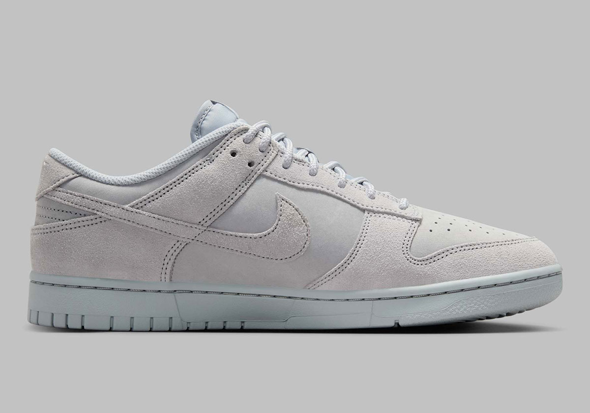 Nike Dunk Low Retro Se Wolf Grey Ib6651 002 3