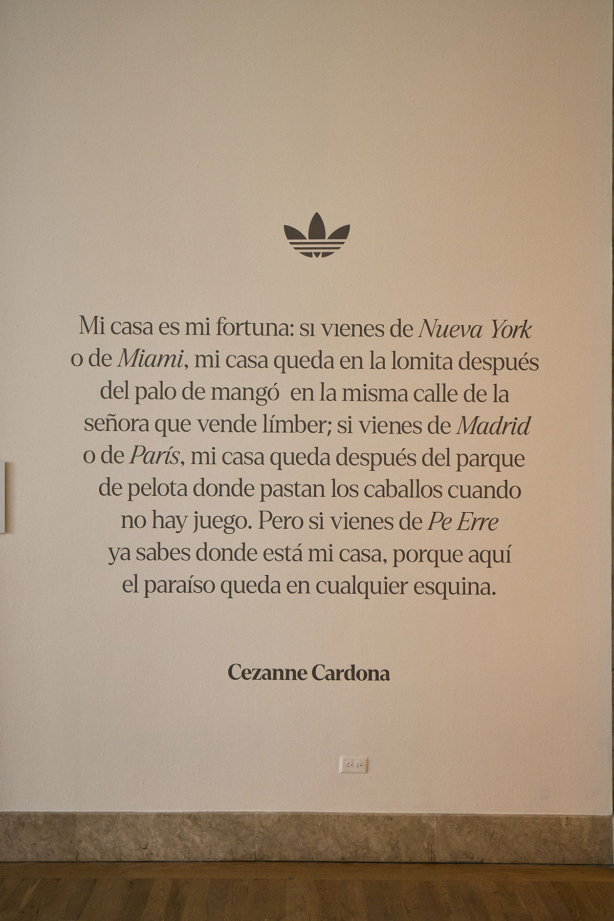 Adidas Bad Bunny The Archive Puerto Rico 12