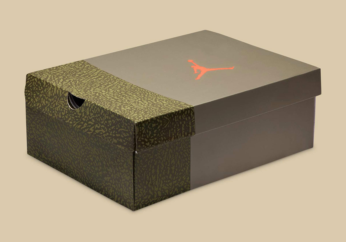 Air Jordan 3 Family Affair Dn3707 202 6