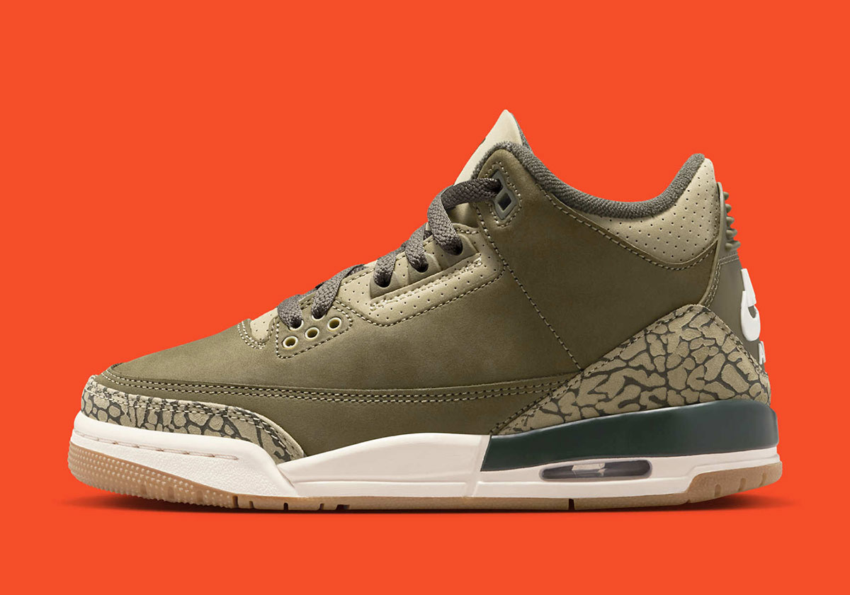 Air Jordan 3 Medium Olive Dn3707 202 Release Date 3