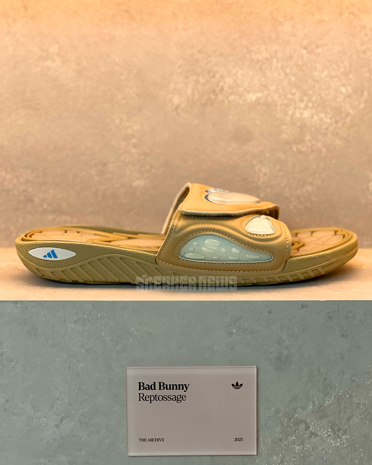 Bad Bunny Adidas Reptossage Slide 4