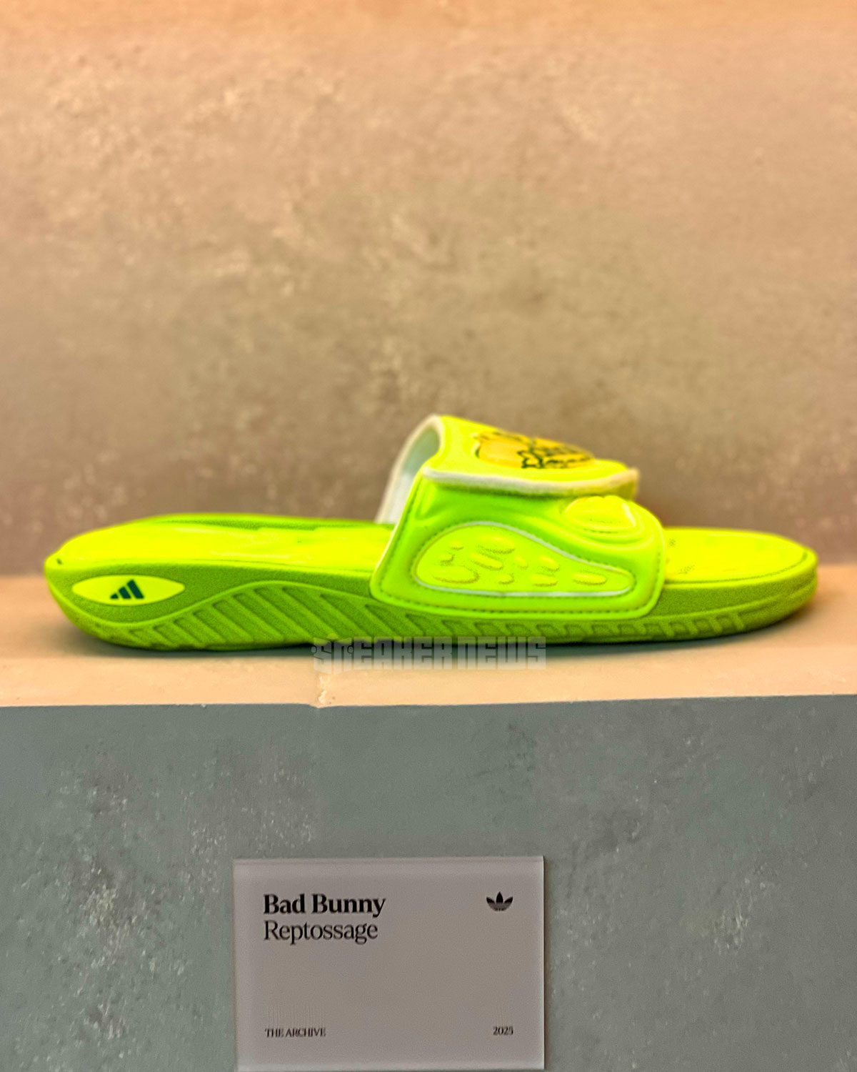 Bad Bunny Adidas Reptossage Slide 5