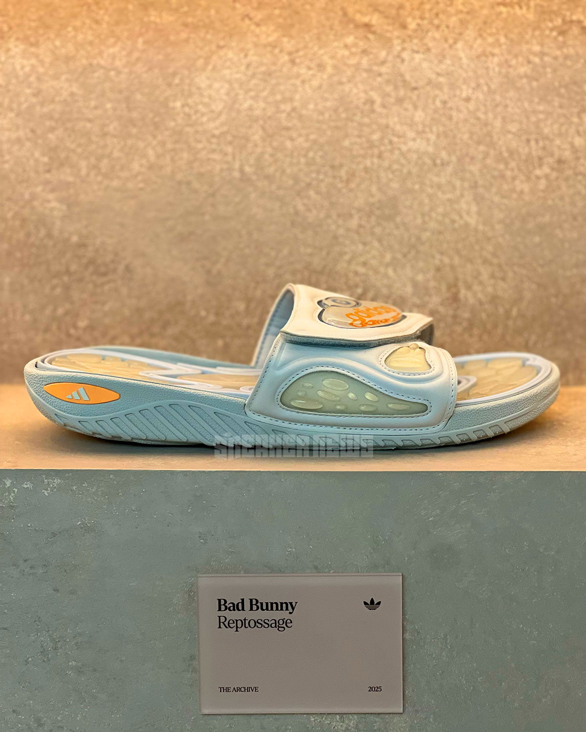 Bad Bunny Adidas Reptossage Slide 6