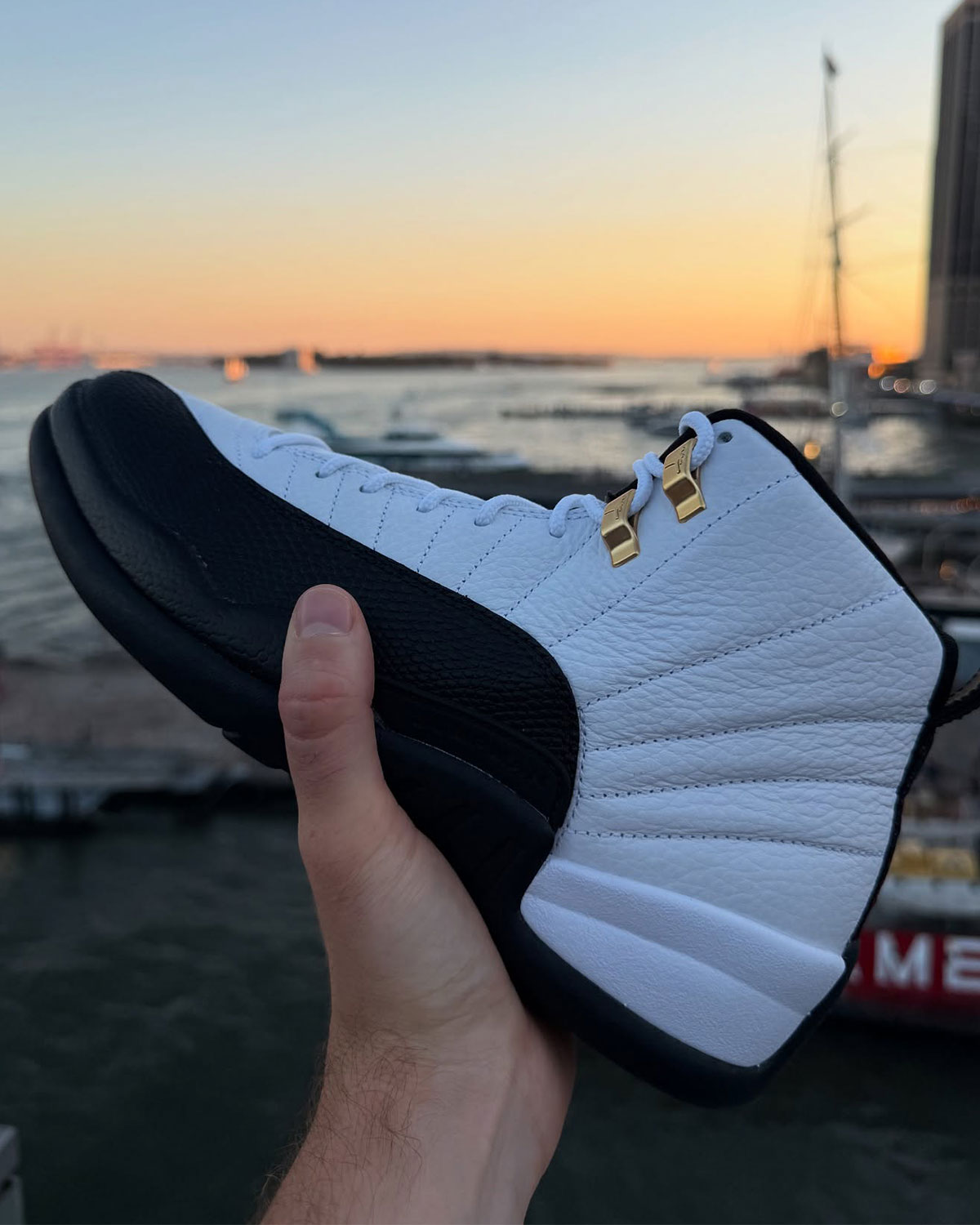 Jordan 12 Taxi Ct8013 117 1